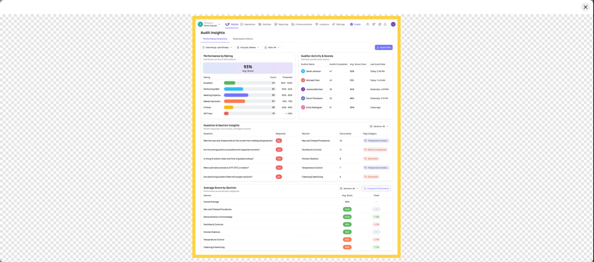 Audit Insights Score Visualization