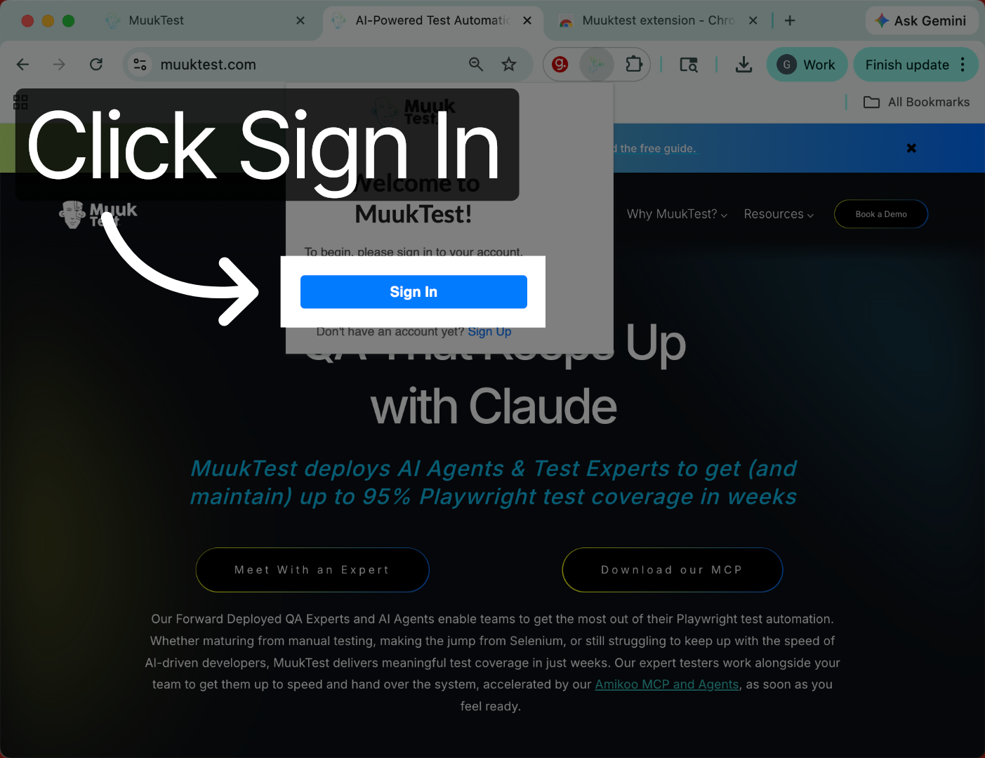Sign In To Extension
