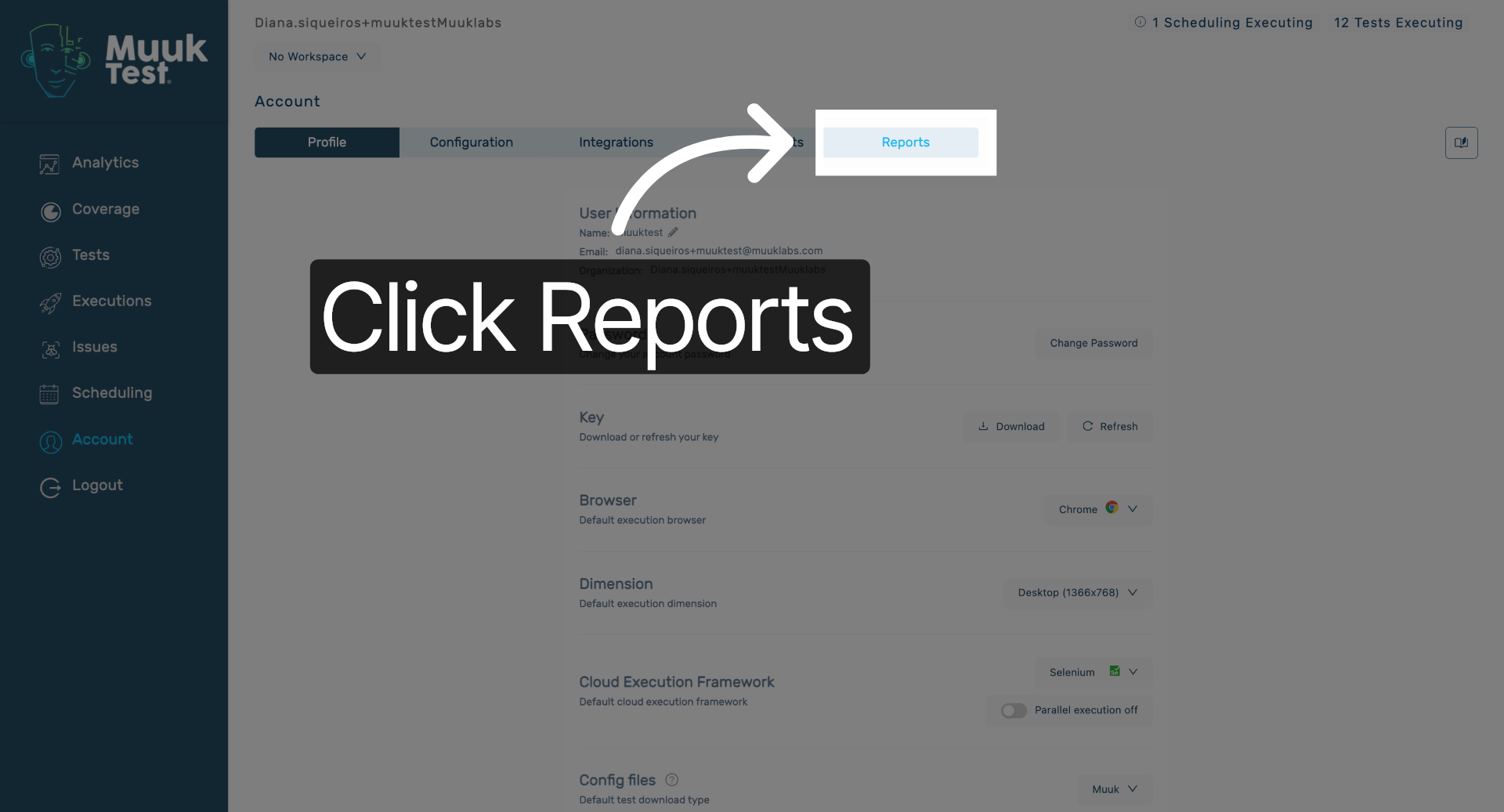 Open Reports Section