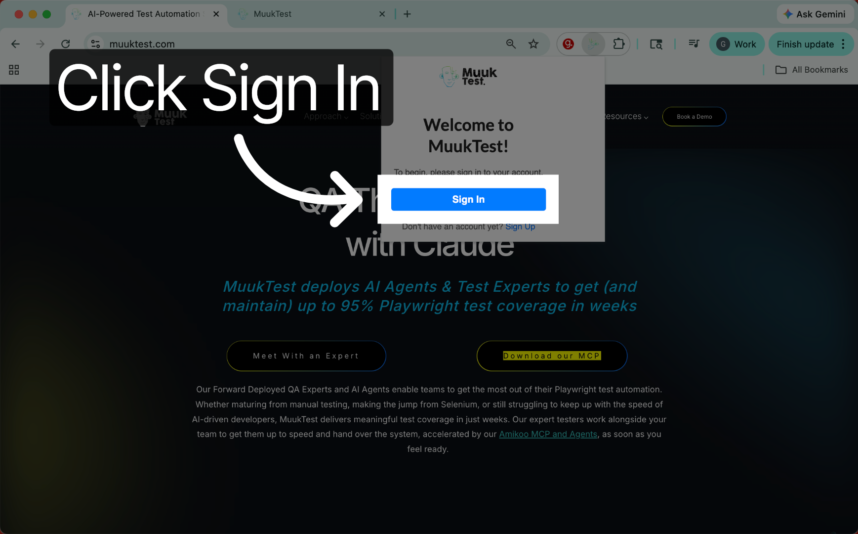 Sign In To Extension