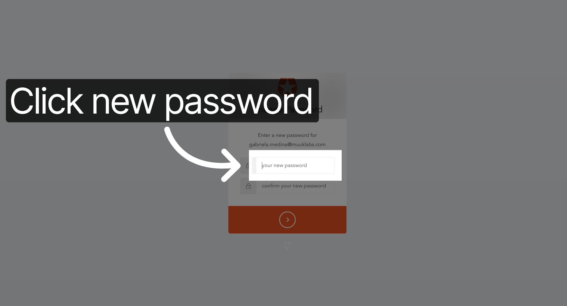 Select New Password Field