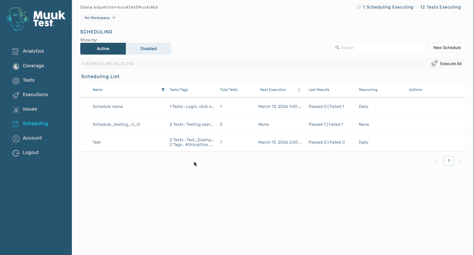 Manual Execution And Report Options