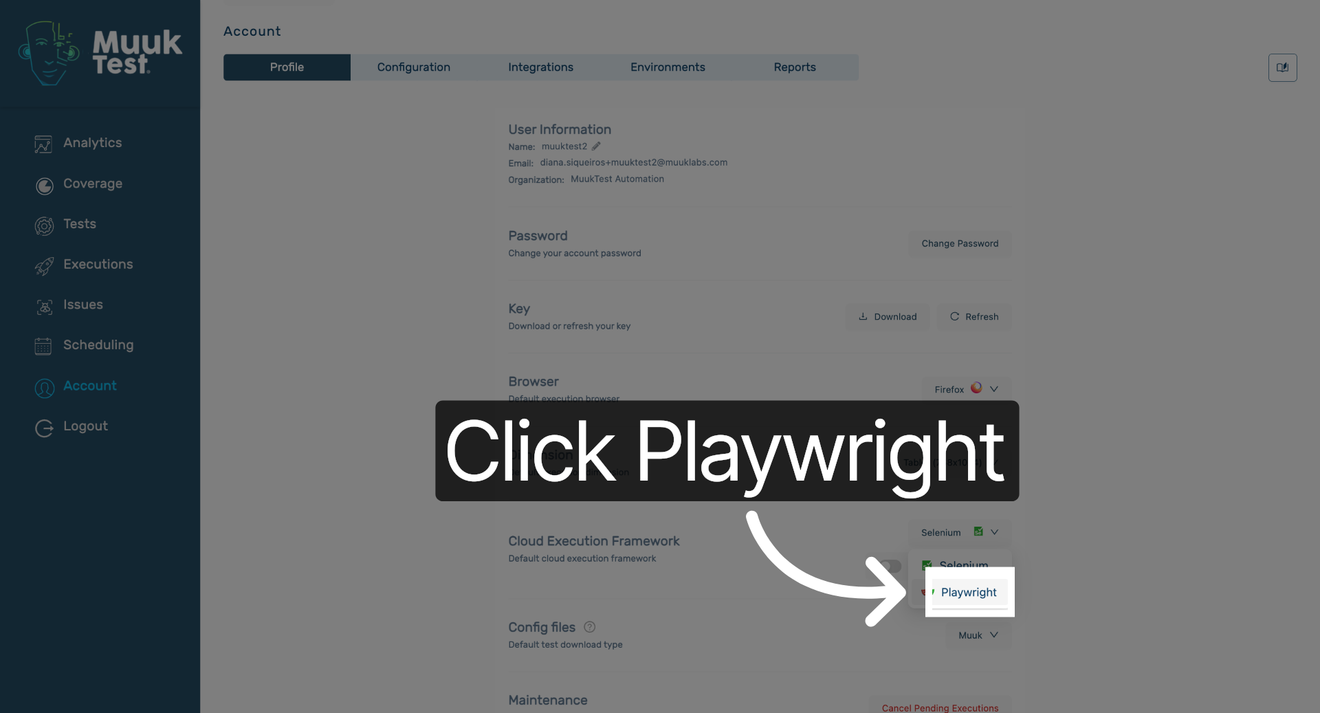 Open Playwright Section