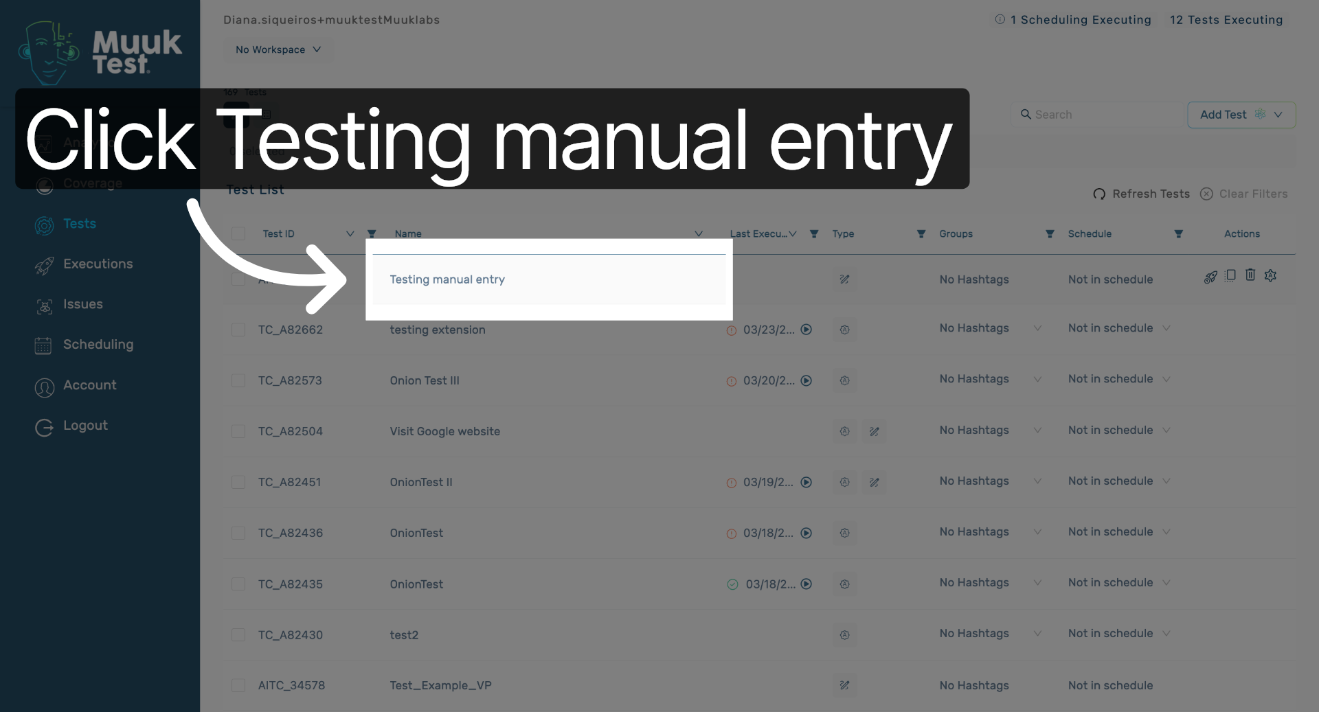Access Testing Manual Entry