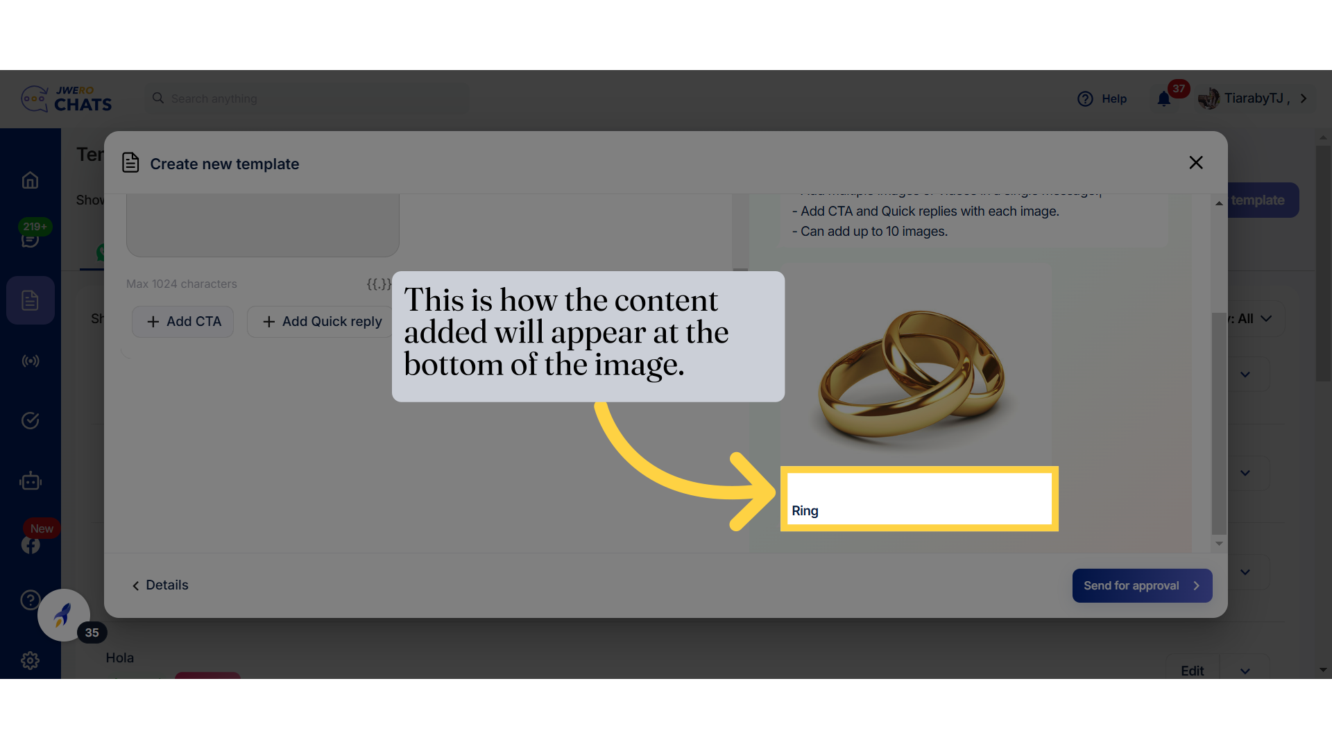 This is how the content added will appear at the bottom of the image.