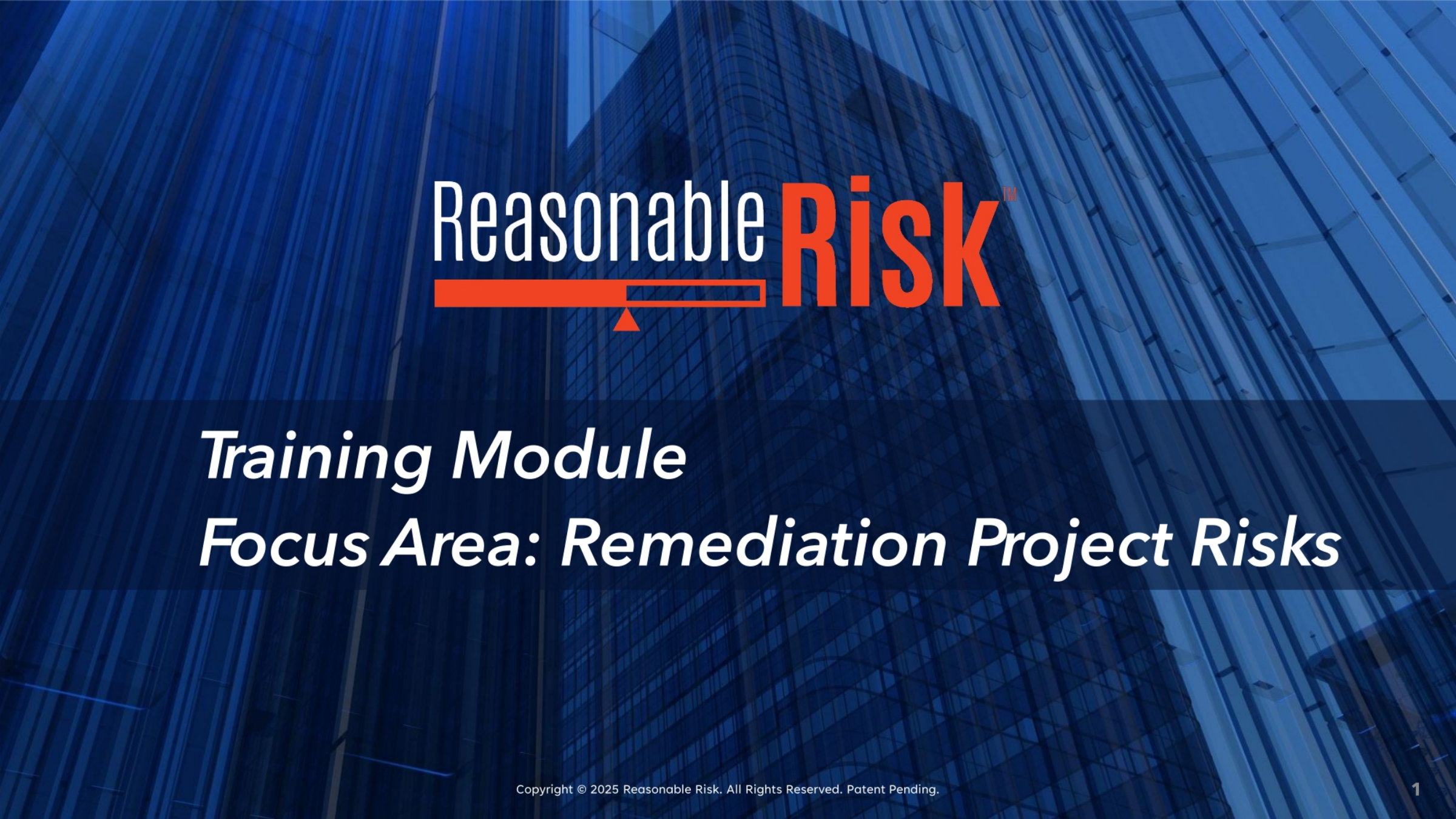 Focus Area: Remediation Project Risks