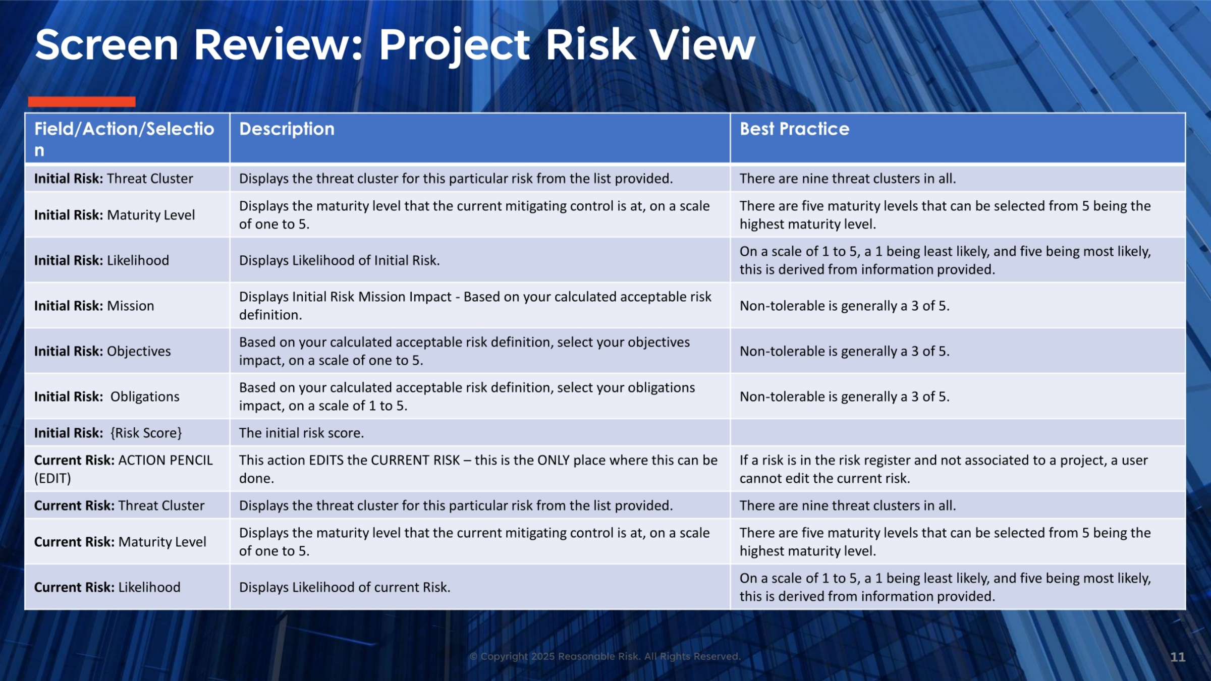 Screen Review: Project Risk View