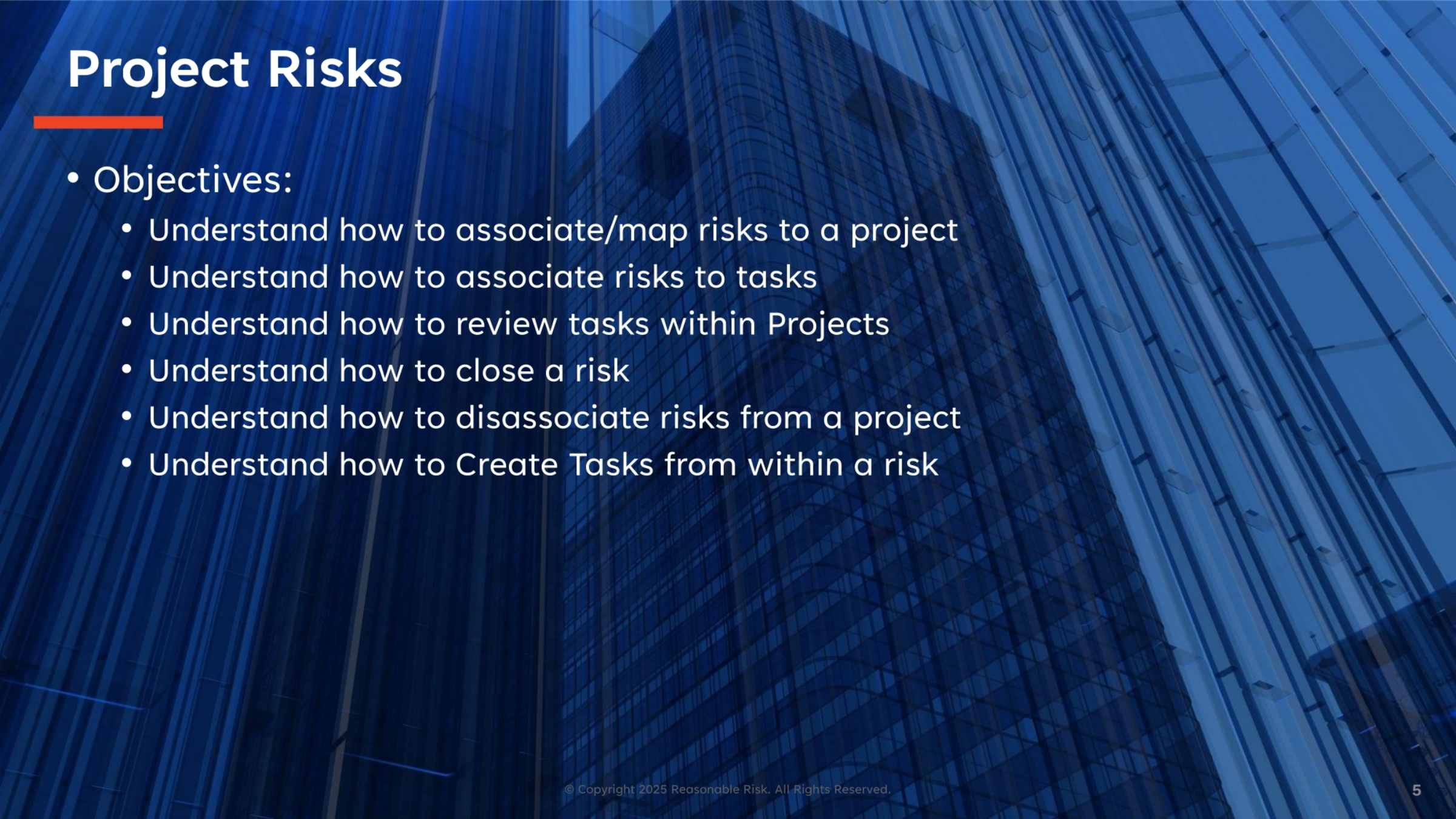 Project Risks