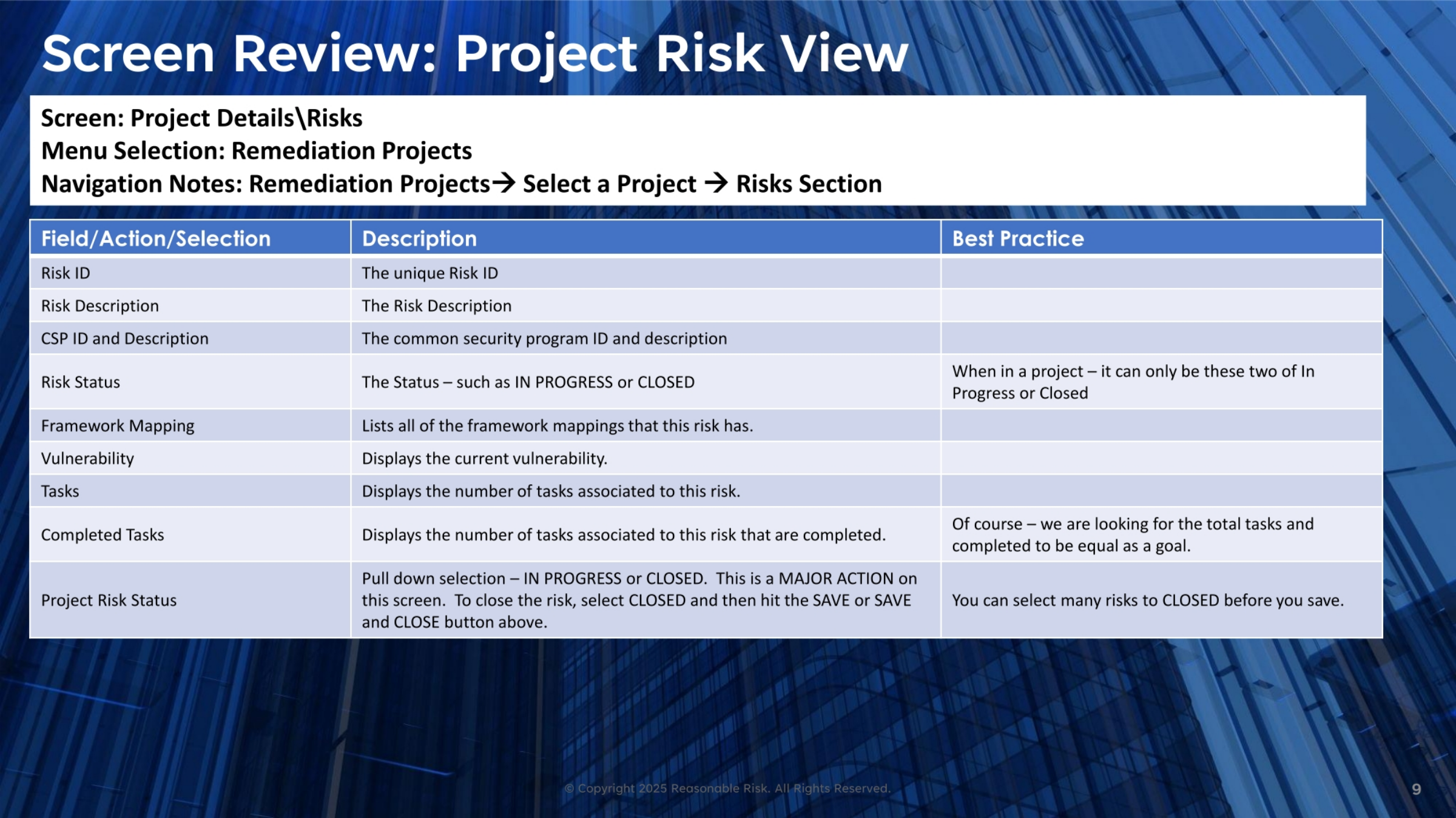 Screen Review: Project Risk View