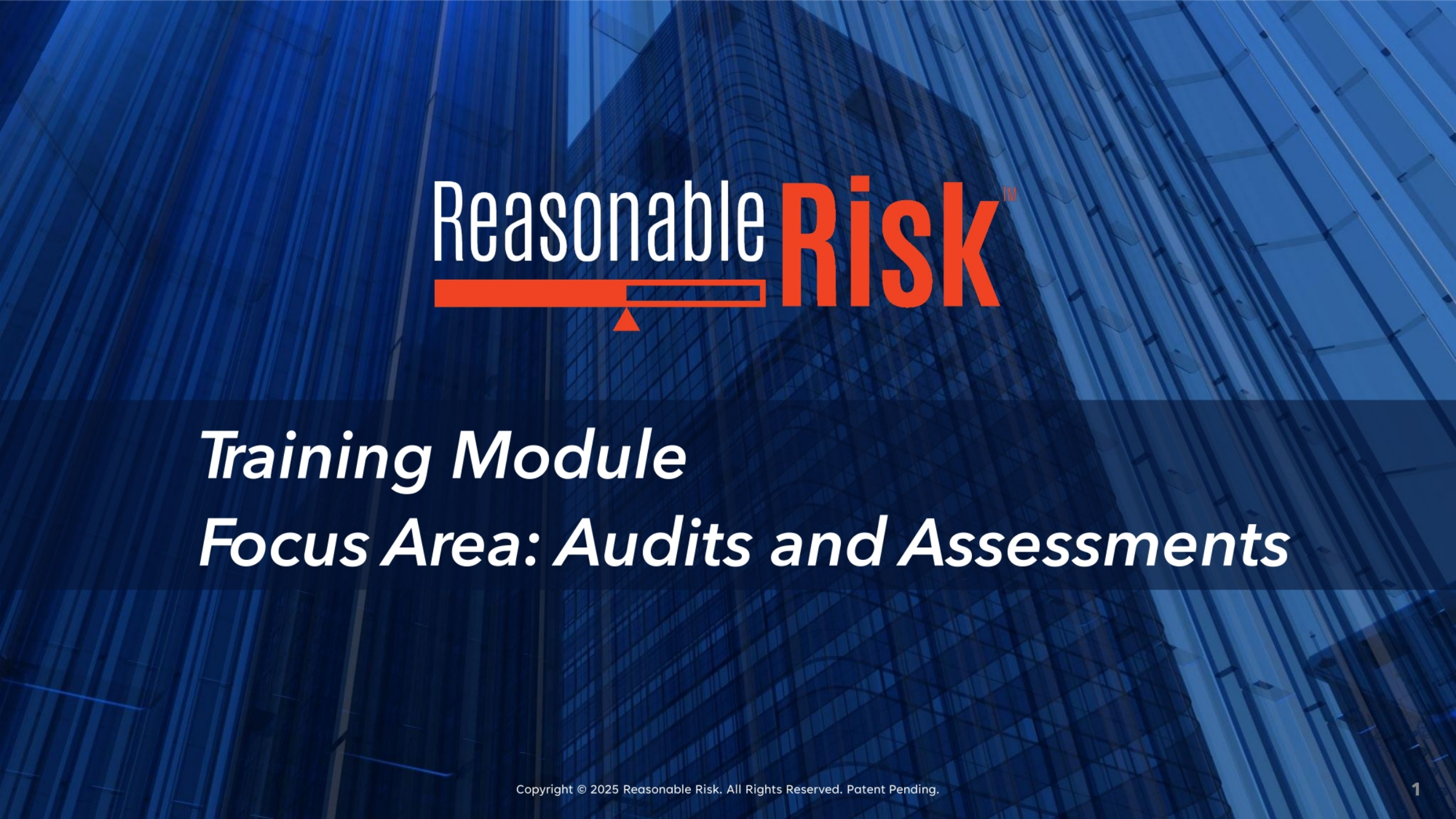 Focus Area: Audits and Assessments
