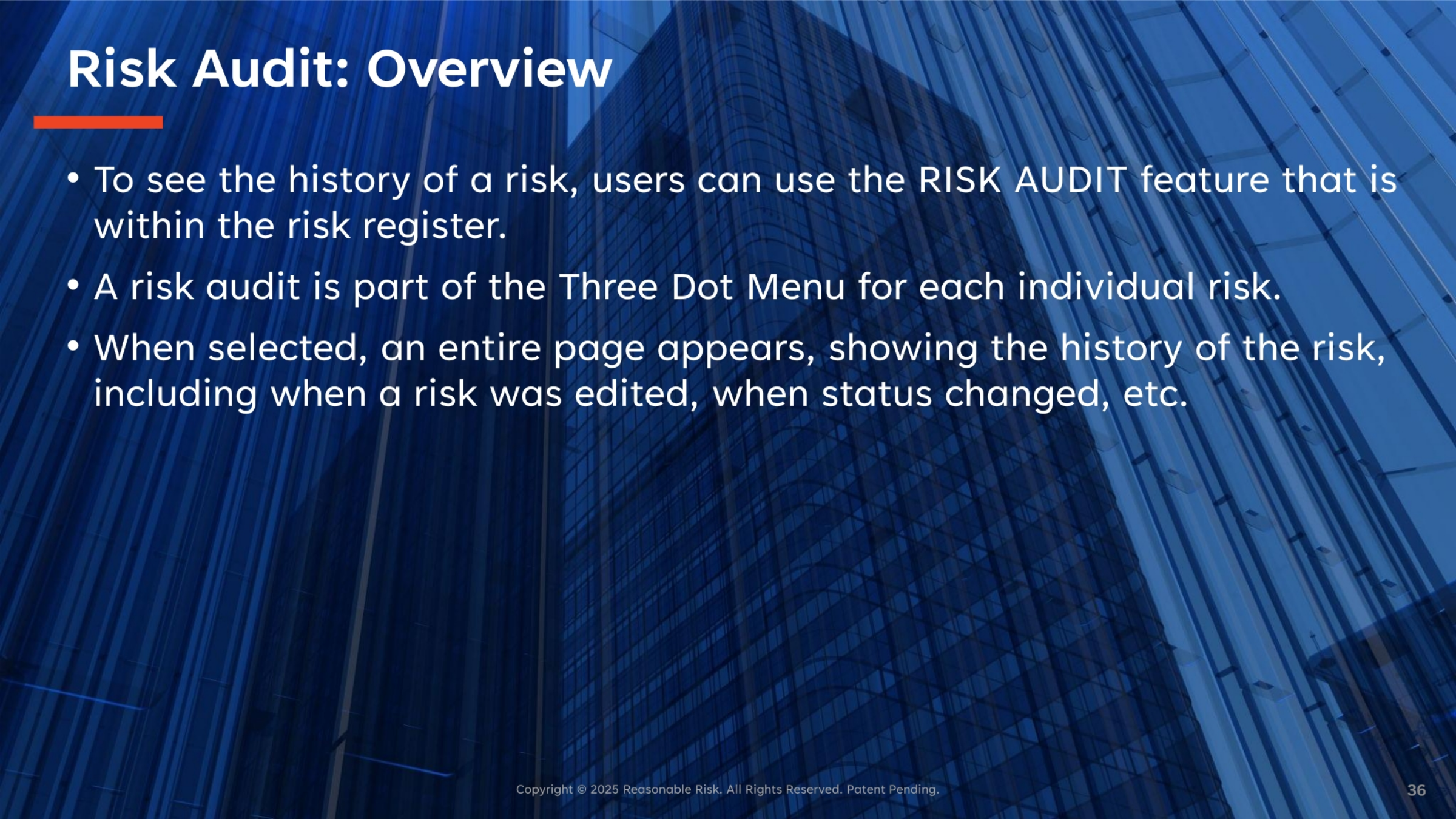 Risk Audit: Overview