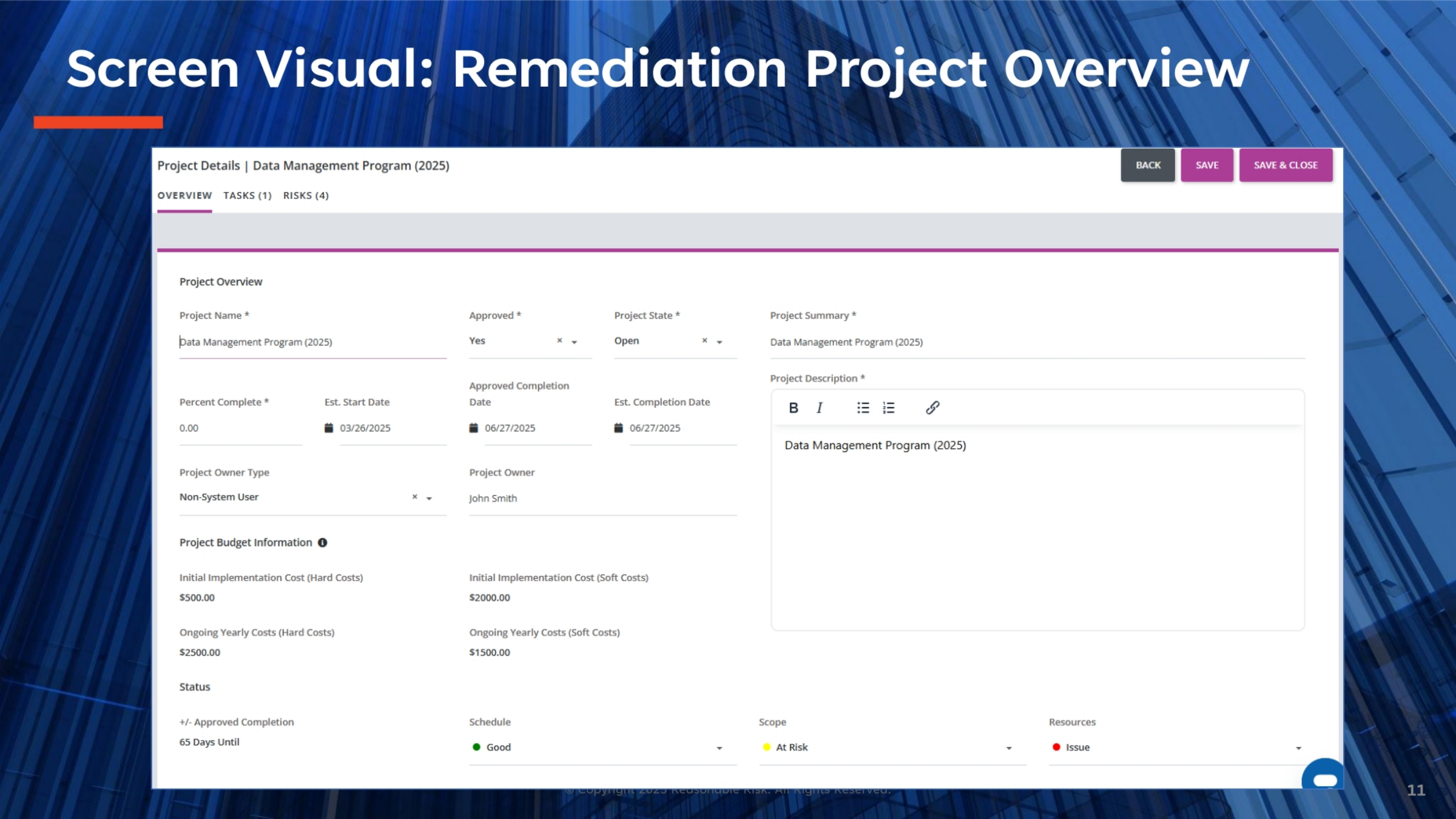 Remediation Project Overview Screen Visual