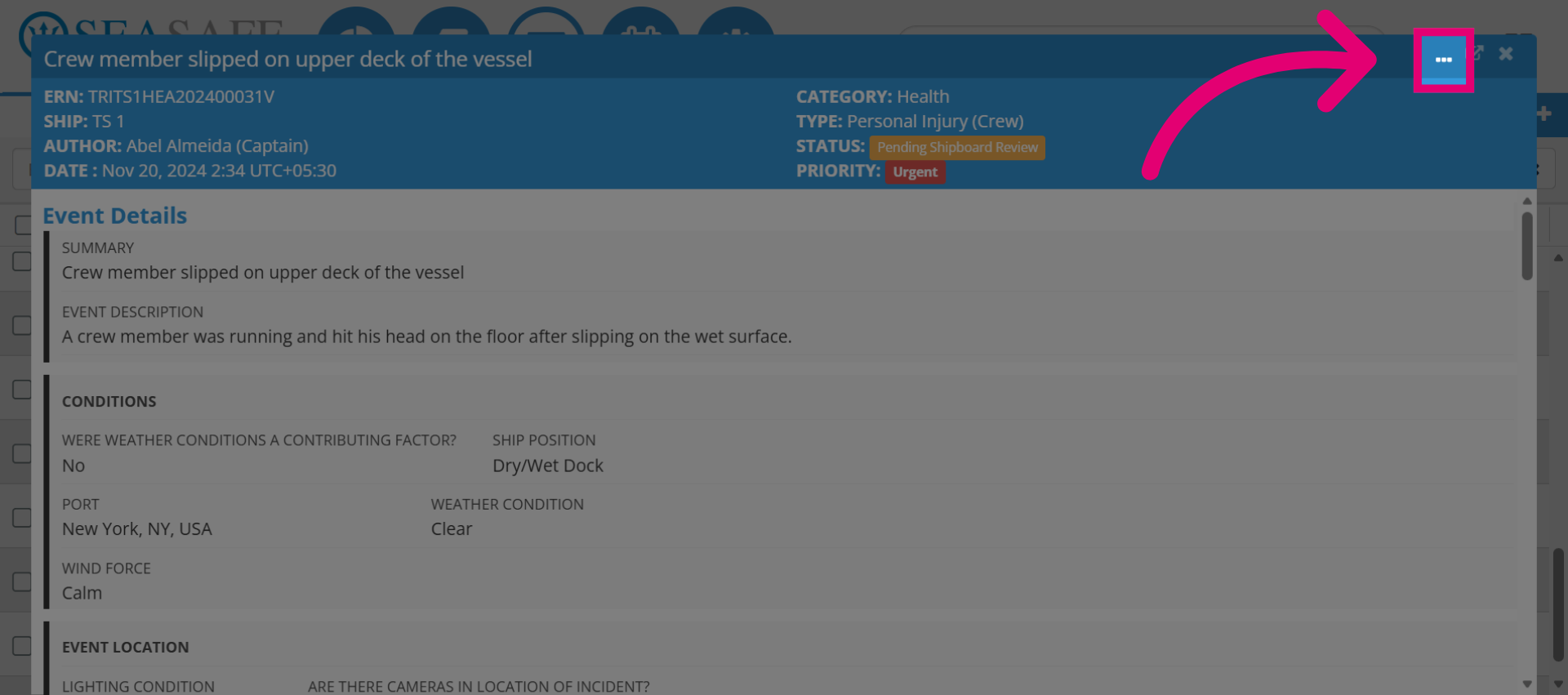 Access Report Options