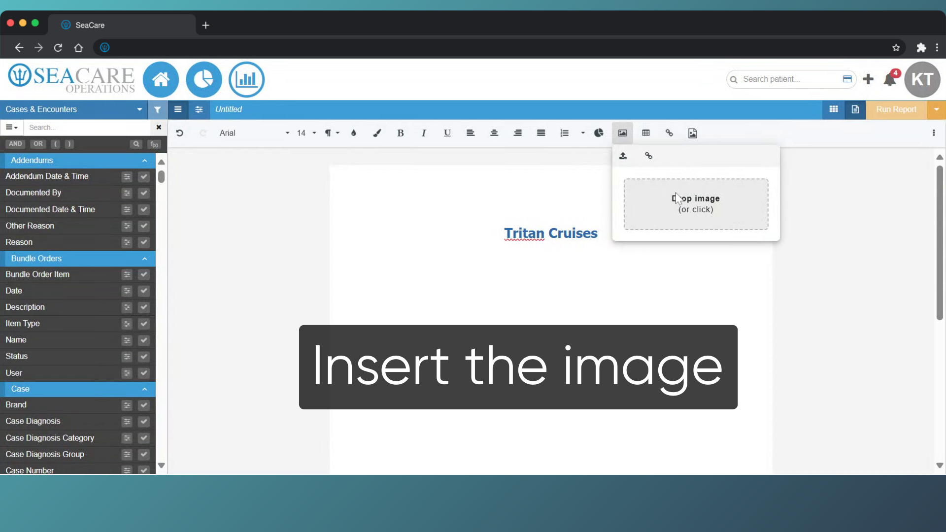 Insert the image