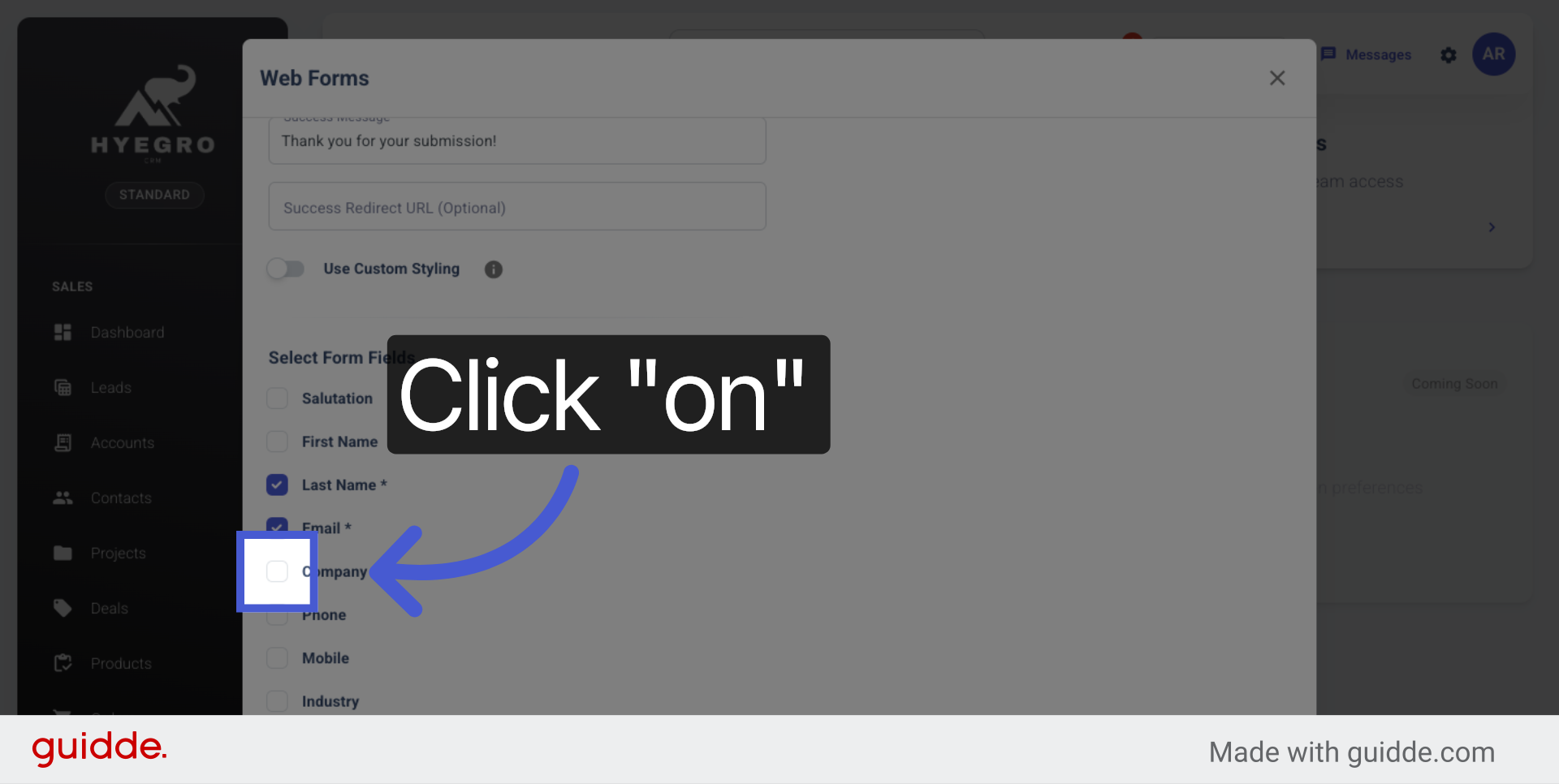 Enable Web-to-Lead Feature
