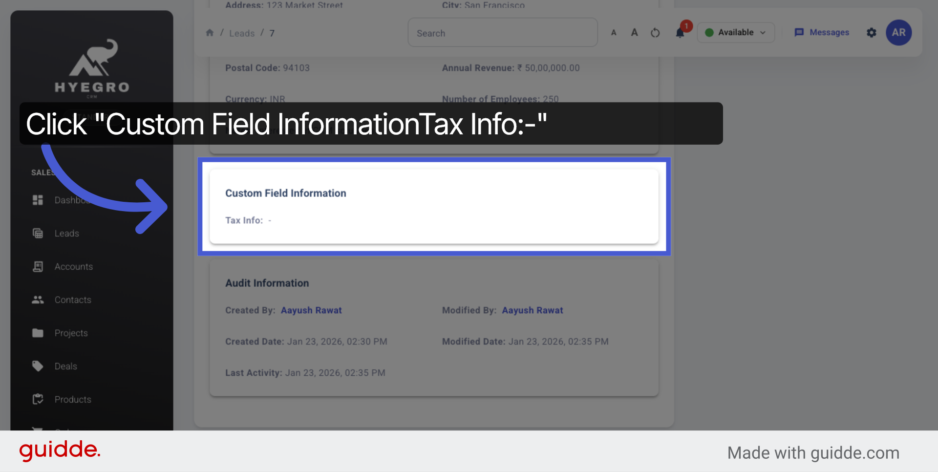 View Custom Field Details