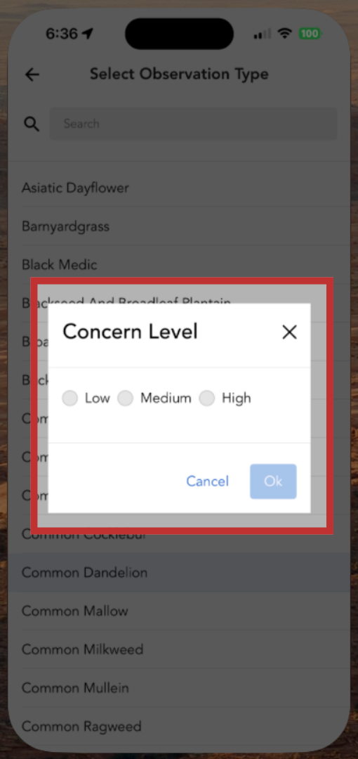 Choose a Concern Level