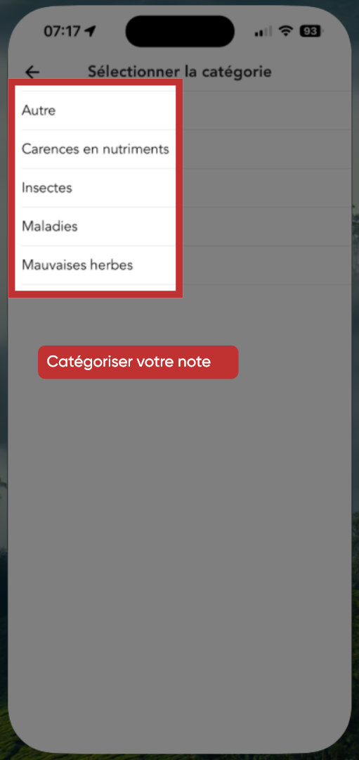 Catégoriser votre note