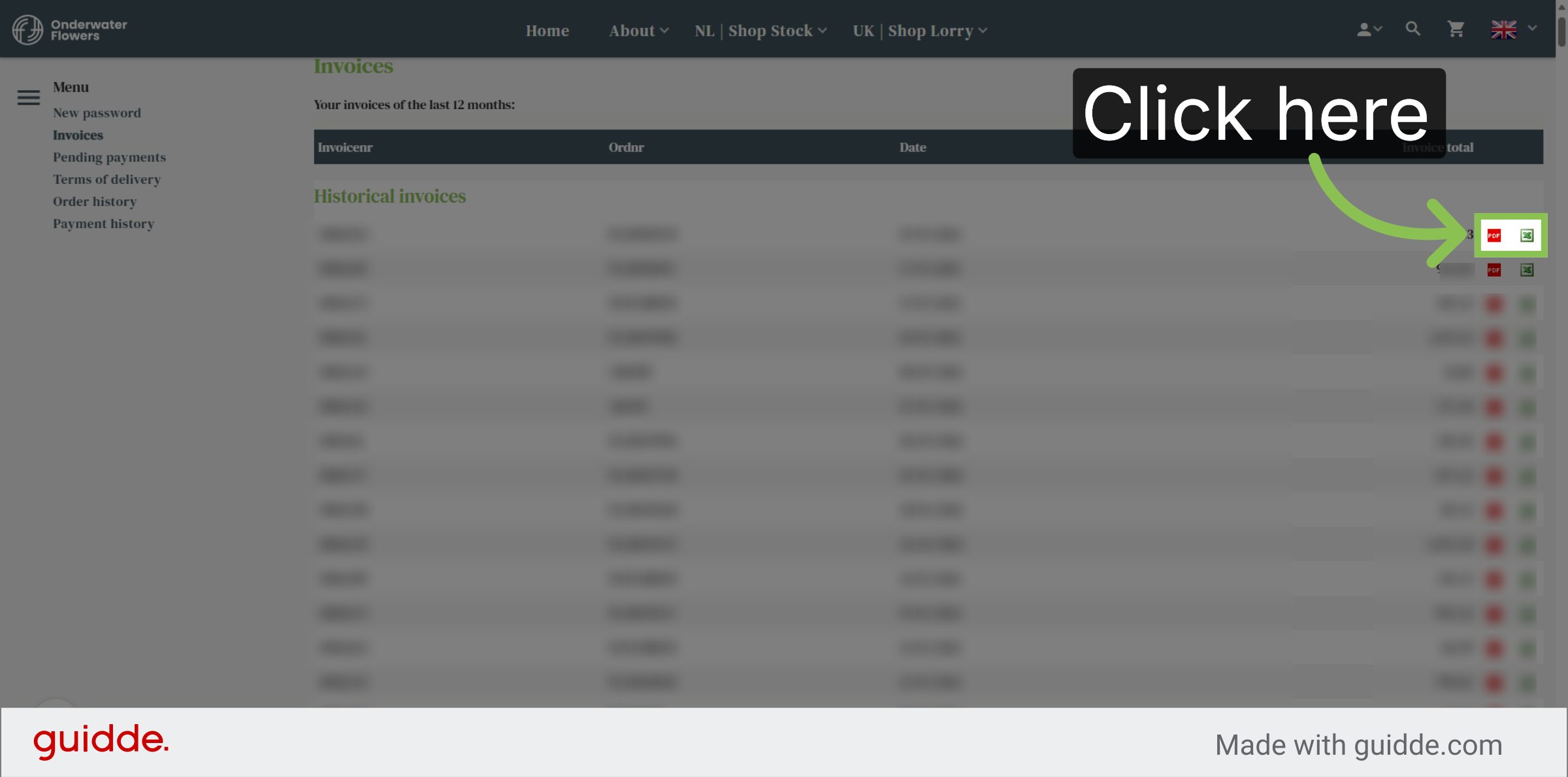 Access Invoice Details