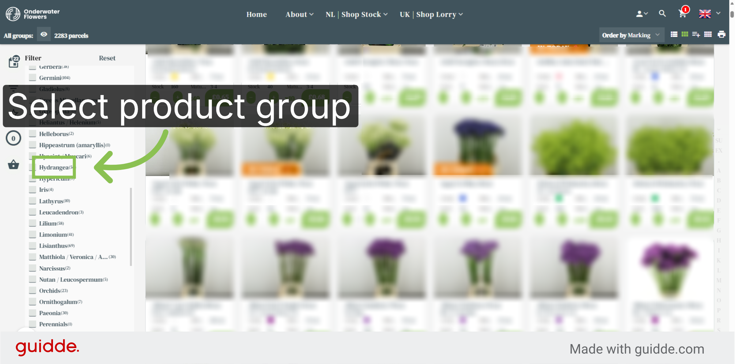 Select Hydrangea Group