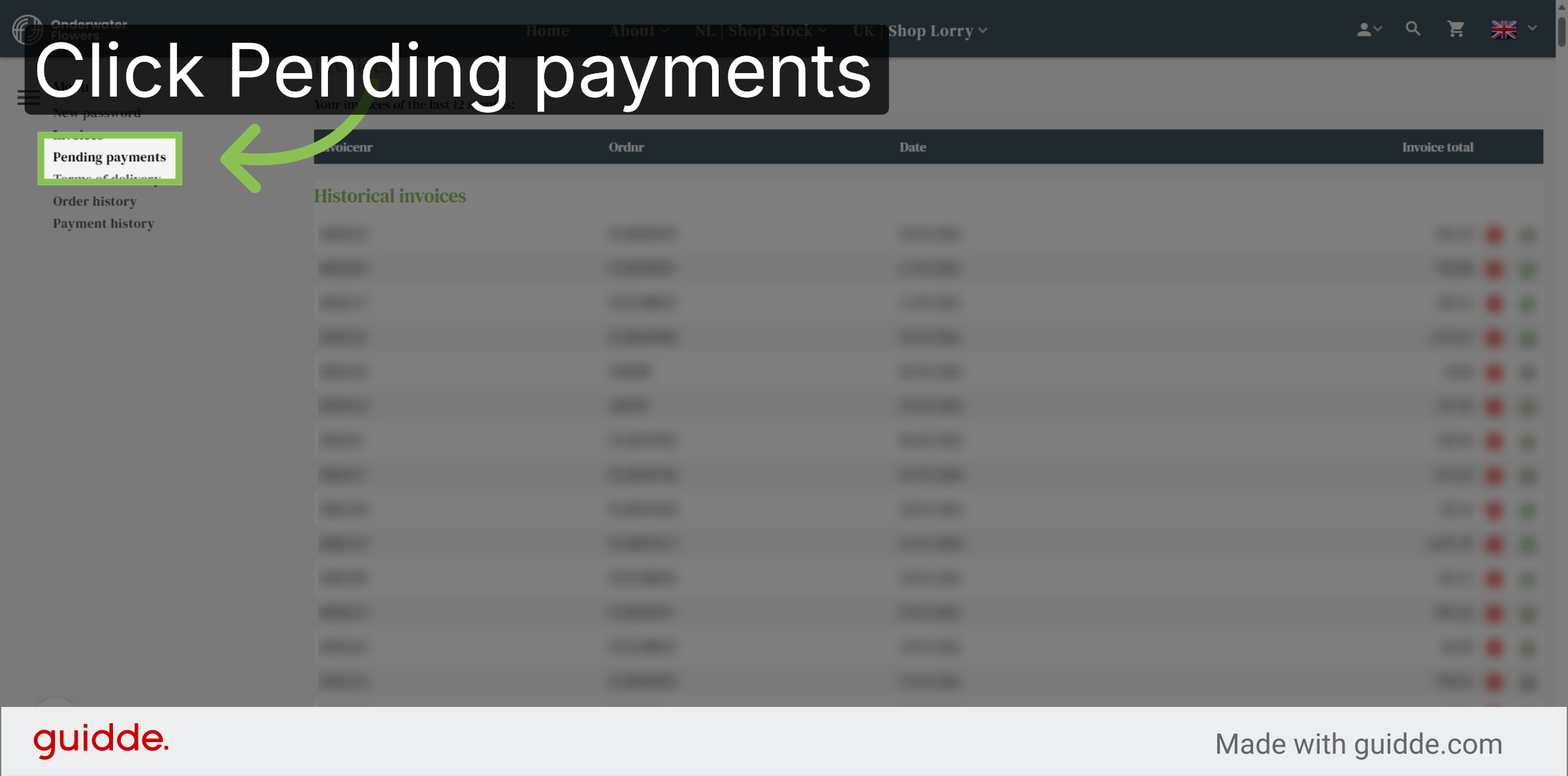 Check Pending Payments