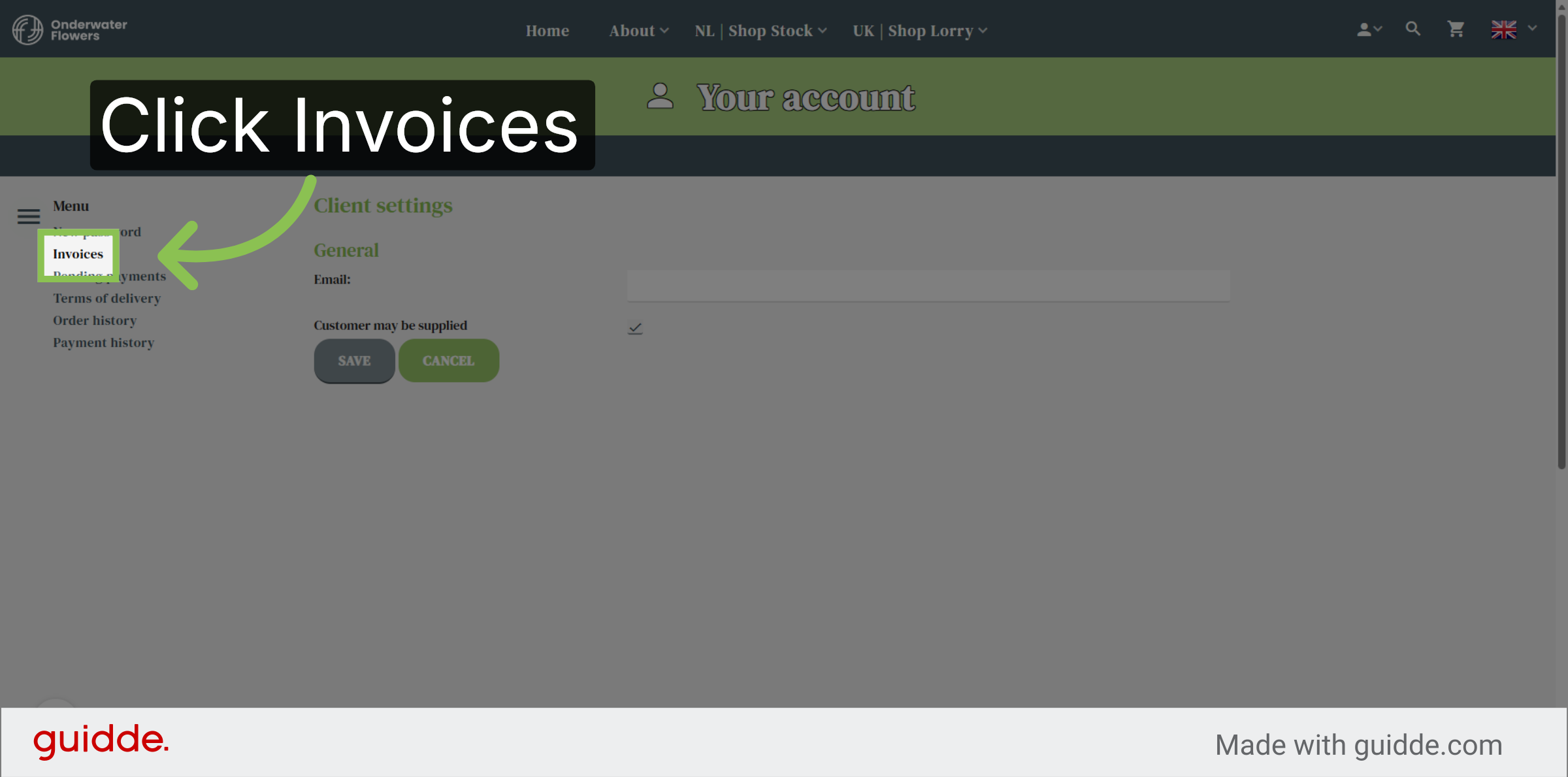 View Invoice Section