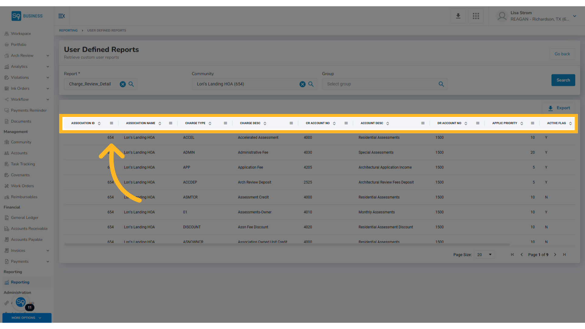 TownSq Business - Accounting - User Defined Reports